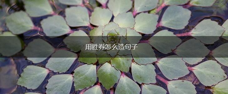 用胜券怎么造句子,第1张 用胜券怎么造句子,第1张