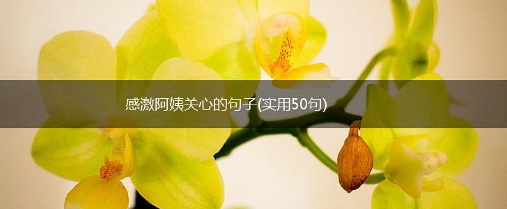 感激阿姨关心的句子(实用50句),第1张