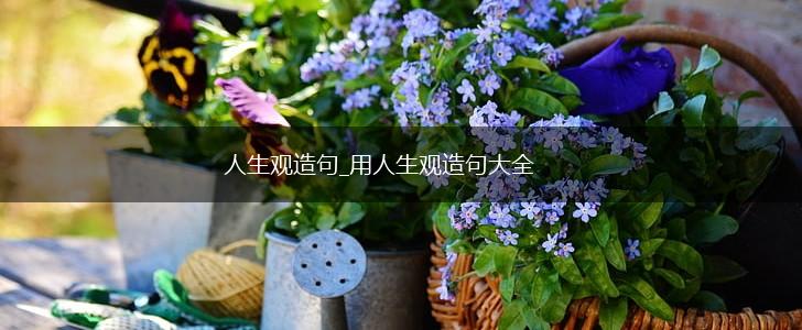 人生观造句_用人生观造句大全,第1张