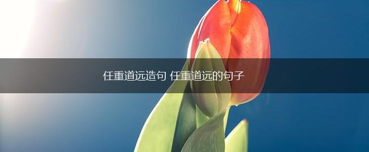 任重道远造句 任重道远的句子,第1张 任重道远造句 任重道远的句子,第1张