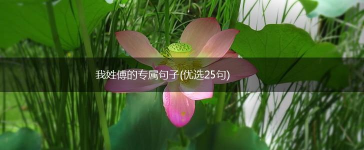 我姓傅的专属句子(优选25句),第1张