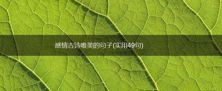 感情古诗唯美的句子(实用49句),第1张