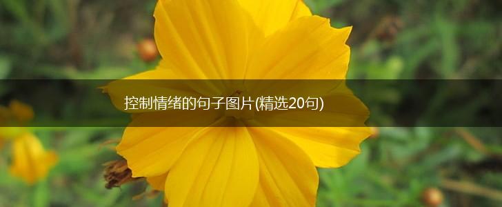 控制情绪的句子图片(精选20句),第1张