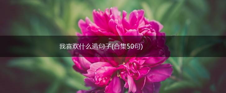 我喜欢什么造句子(合集50句),第1张