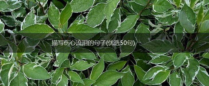 描写伤心流泪的句子(优选50句),第1张