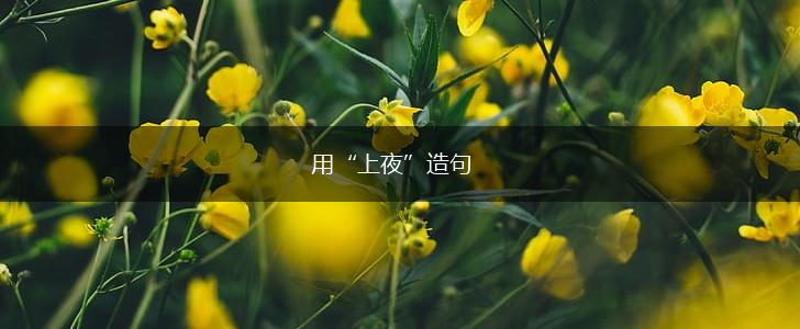 用“上夜”造句,第1张 用“上夜”造句,第1张