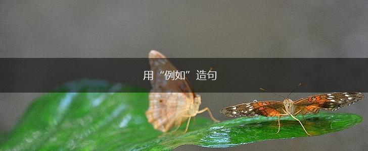 用“例如”造句,第1张 用“例如”造句,第1张