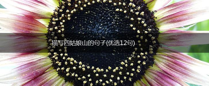 描写四姑娘山的句子(优选12句),第1张