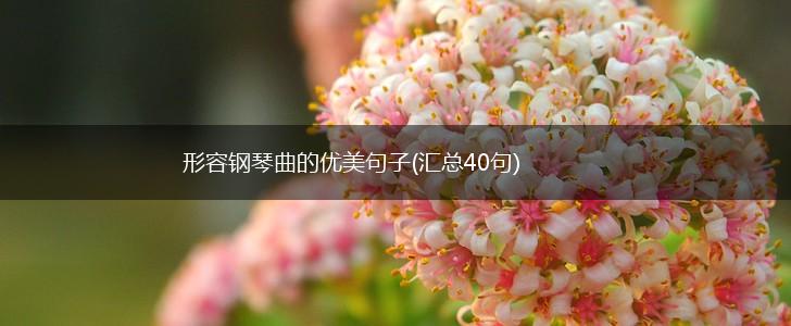 形容钢琴曲的优美句子(汇总40句),第1张