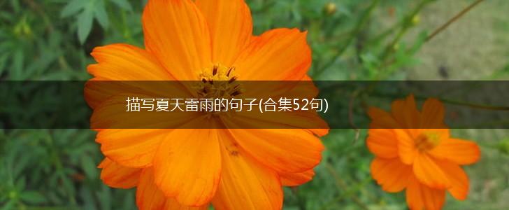 描写夏天雷雨的句子(合集52句),第1张
