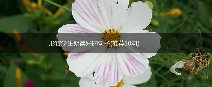 形容学生朗读好的句子(推荐50句),第1张
