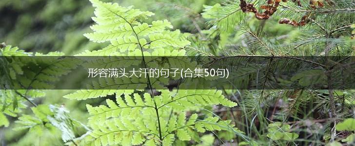 形容满头大汗的句子(合集50句),第1张