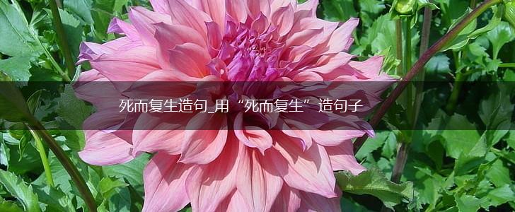 死而复生造句_用“死而复生”造句子,第1张 死而复生造句_用“死而复生”造句子,第1张