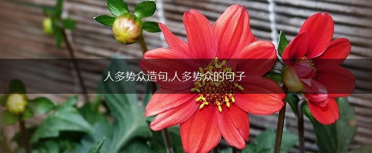 人多势众造句,人多势众的句子,第1张