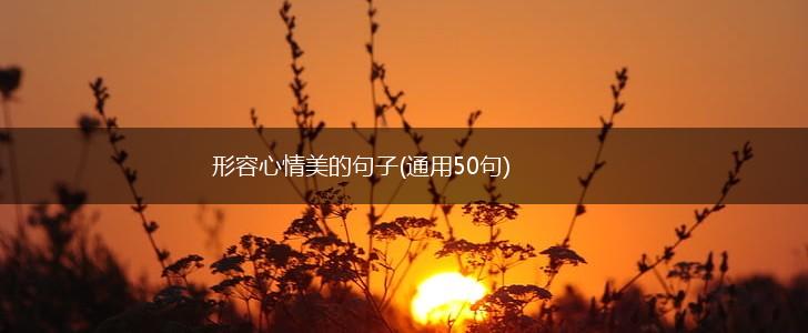 形容心情美的句子(通用50句),第1张