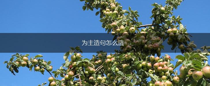 为主造句怎么造,第1张 为主造句怎么造,第1张