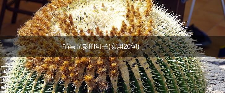 描写光影的句子(实用20句),第1张