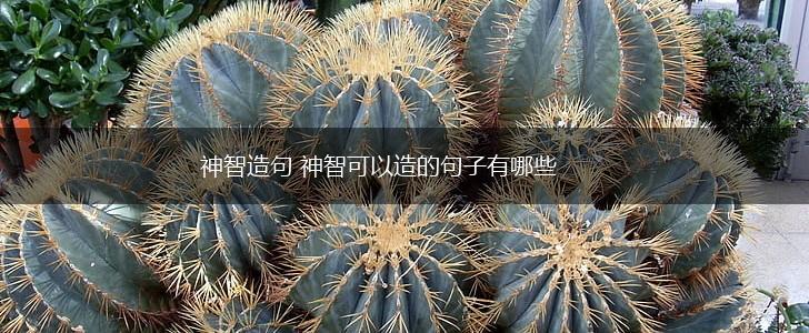 神智造句 神智可以造的句子有哪些,第1张 神智造句 神智可以造的句子有哪些,第1张