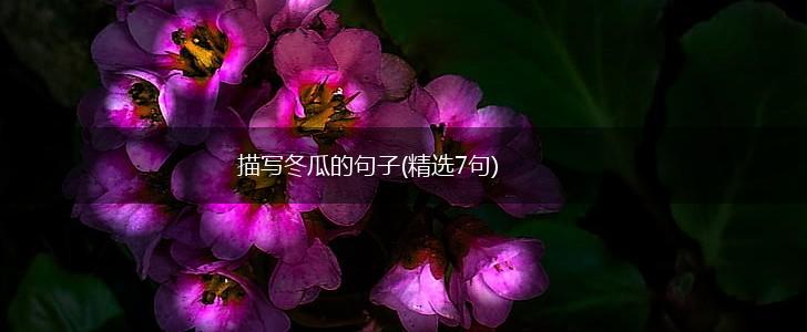 描写冬瓜的句子(精选7句),第1张
