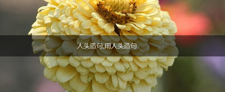 人头造句,用人头造句,第1张