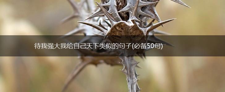 待我强大我给自己天下类似的句子(必备50句),第1张