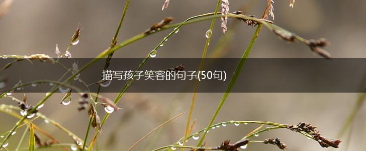 描写孩子笑容的句子(50句),第1张