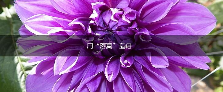 用“落莫”造句,第1张 用“落莫”造句,第1张