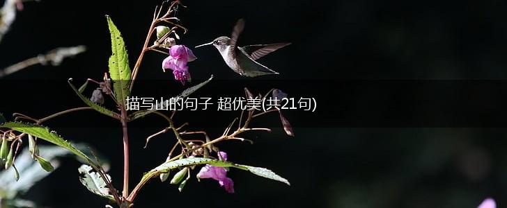 描写山的句子 超优美(共21句),第1张