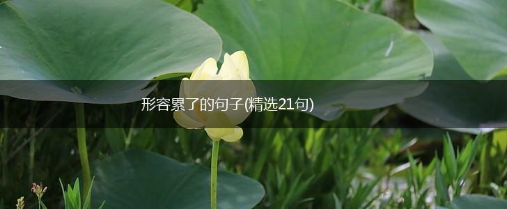 形容累了的句子(精选21句),第1张