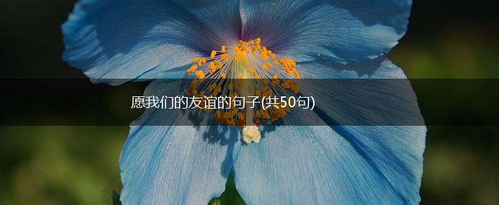 愿我们的友谊的句子(共50句),第1张
