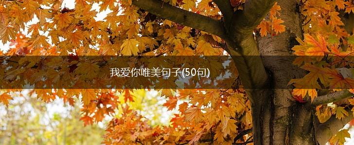 我爱你唯美句子(50句),第1张