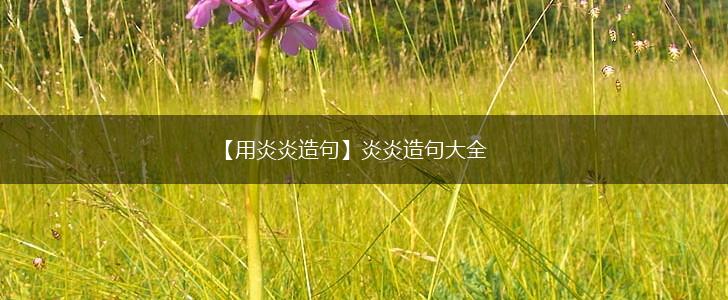 【用炎炎造句】炎炎造句大全,第1张 【用炎炎造句】炎炎造句大全,第1张