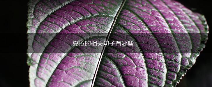 克拉的相关句子有哪些,第1张 克拉的相关句子有哪些,第1张