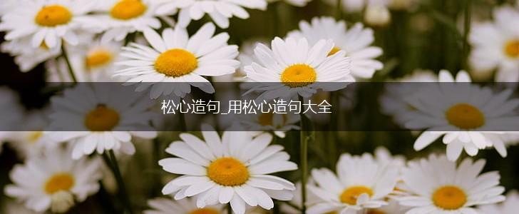 松心造句_用松心造句大全,第1张 松心造句_用松心造句大全,第1张