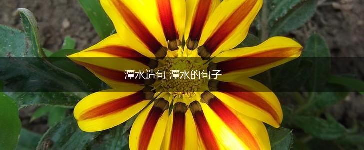 潭水造句 潭水的句子,第1张 潭水造句 潭水的句子,第1张