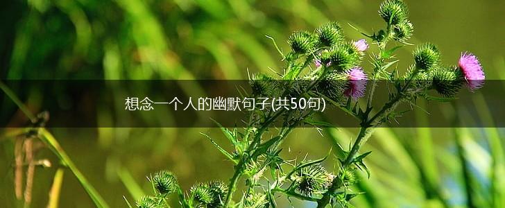 想念一个人的幽默句子(共50句),第1张