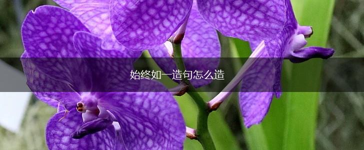 始终如一造句怎么造,第1张 始终如一造句怎么造,第1张