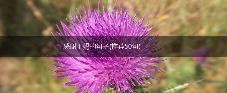 感谢干妈的句子(推荐50句),第1张