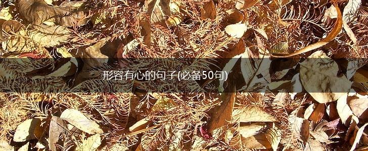 形容有心的句子(必备50句),第1张