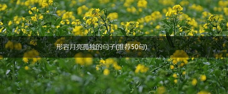 形容月亮孤独的句子(推荐50句),第1张