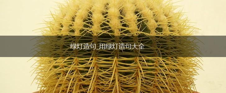 绿灯造句_用绿灯造句大全,第1张