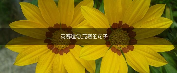 竞赛造句,竞赛的句子,第1张 竞赛造句,竞赛的句子,第1张