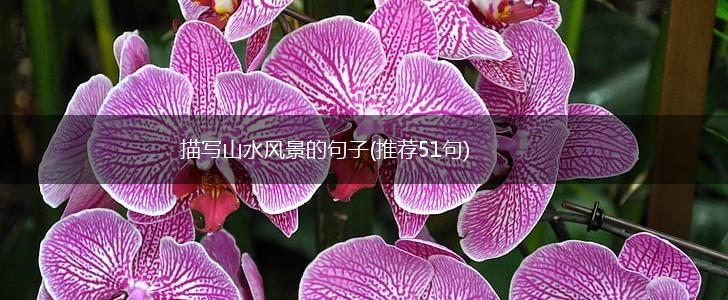 描写山水风景的句子(推荐51句),第1张