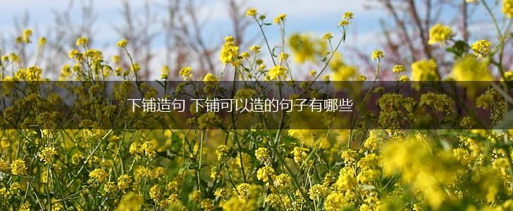 下铺造句 下铺可以造的句子有哪些,第1张 下铺造句 下铺可以造的句子有哪些,第1张