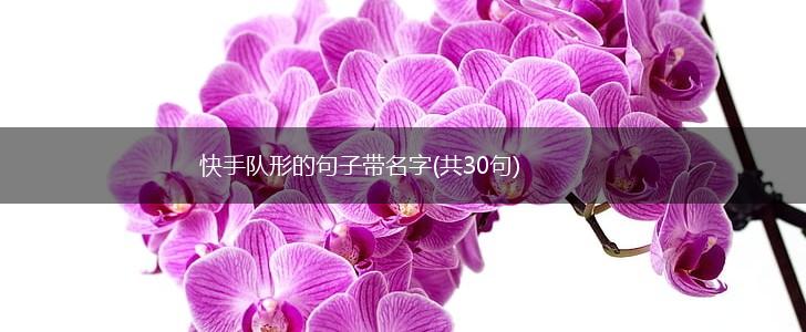 快手队形的句子带名字(共30句),第1张
