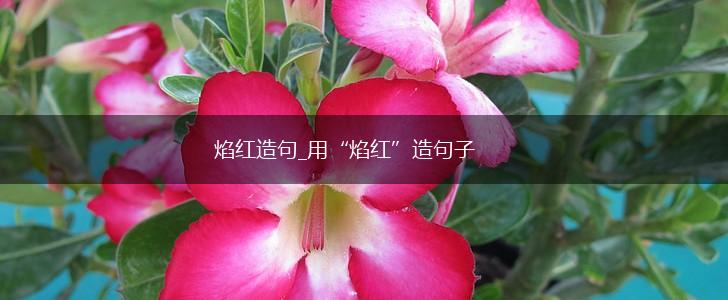 焰红造句_用“焰红”造句子,第1张 焰红造句_用“焰红”造句子,第1张