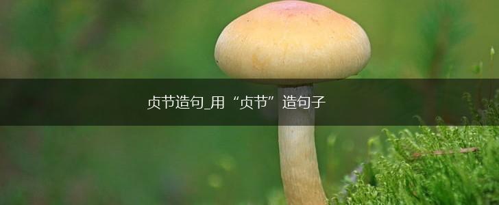 贞节造句_用“贞节”造句子,第1张 贞节造句_用“贞节”造句子,第1张