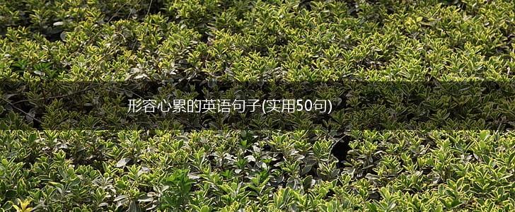 形容心累的英语句子(实用50句),第1张