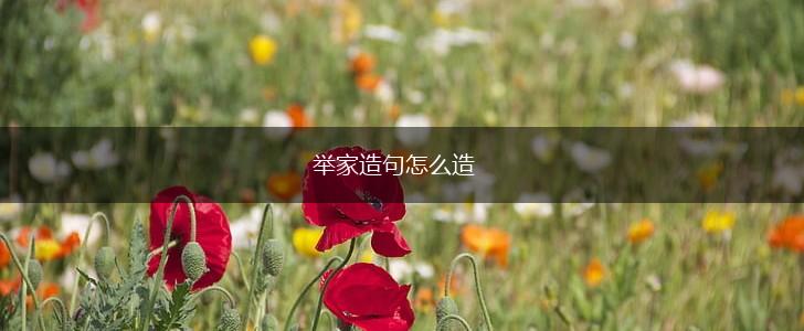 举家造句怎么造,第1张
