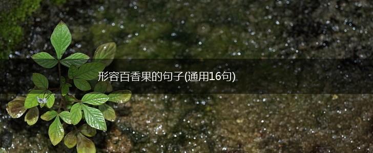 形容百香果的句子(通用16句),第1张